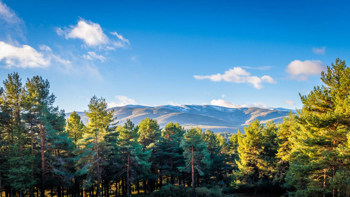 Paisaje de Gredos