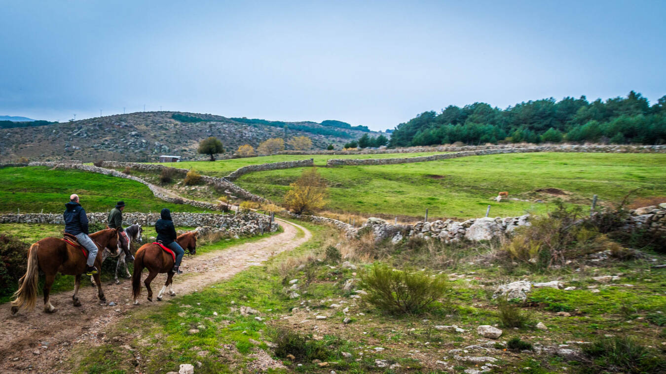 ¿Qué es ser un turista generativo?